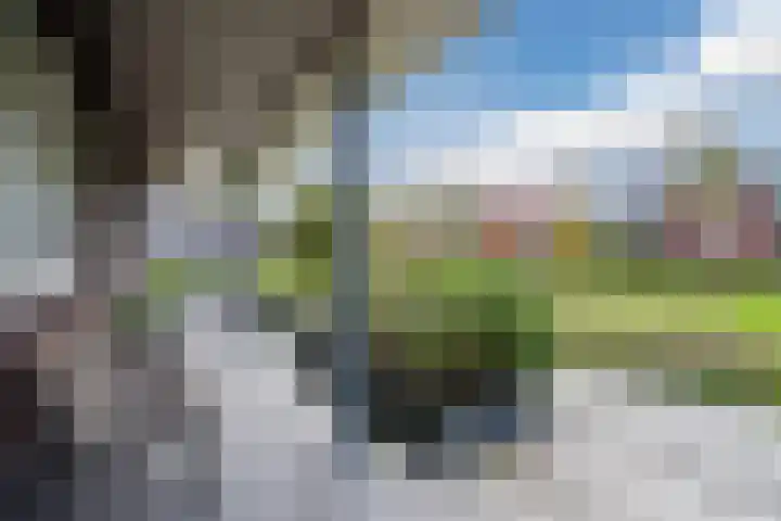 Nova Zembla 23 Noord-Scharwoude thumbnail 6
