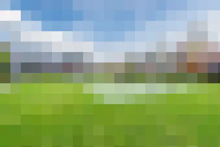 Nova Zembla 23 Noord-Scharwoude thumbnail 7