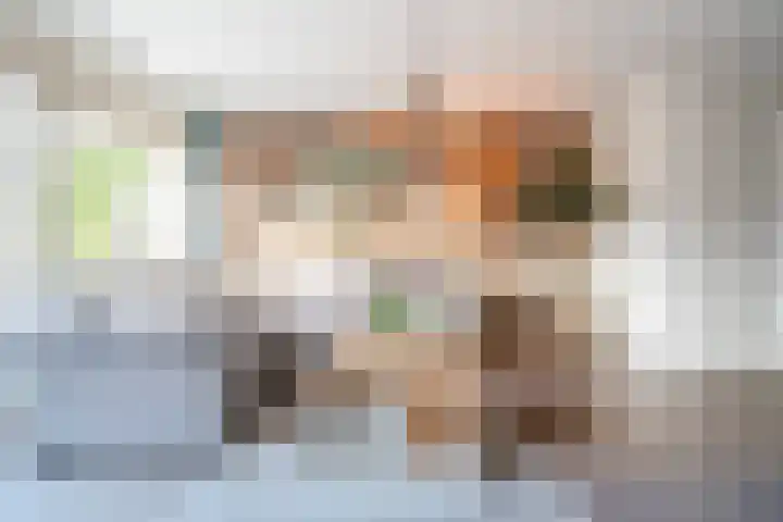 Nova Zembla 4 Noord-Scharwoude thumbnail 12