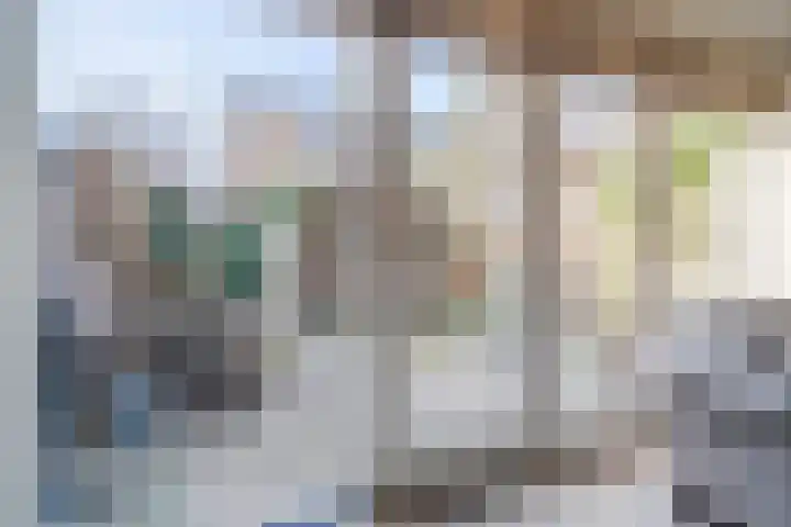 Nova Zembla 4 Noord-Scharwoude thumbnail 13