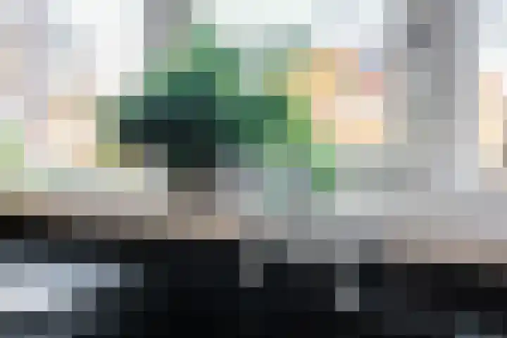 Nova Zembla 4 Noord-Scharwoude thumbnail 20