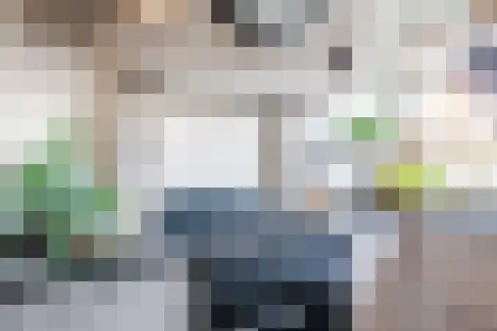 Nova Zembla 4 Noord-Scharwoude thumbnail 21