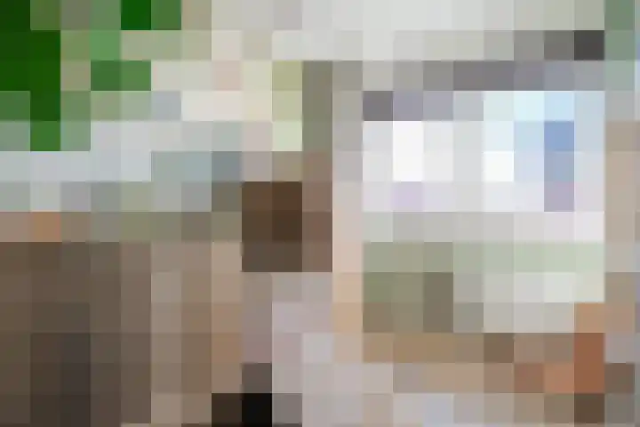 Nova Zembla 4 Noord-Scharwoude thumbnail 25