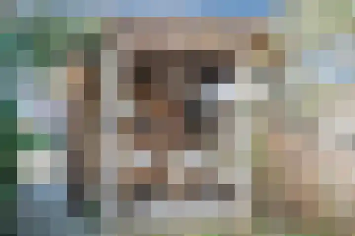 Nova Zembla 4 Noord-Scharwoude thumbnail 49