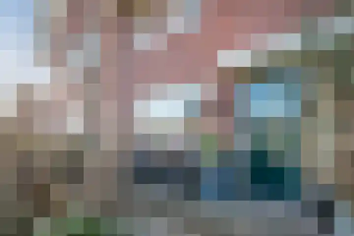 Nova Zembla 4 Noord-Scharwoude thumbnail 5