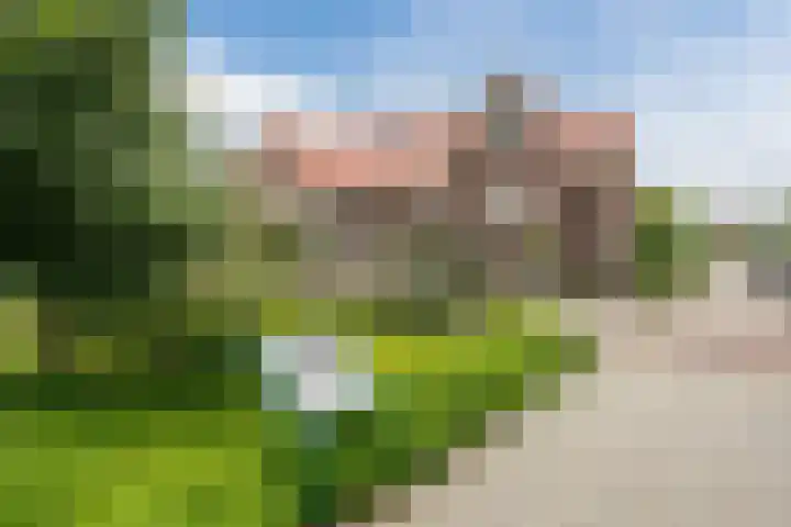 Nova Zembla 46 Noord-Scharwoude thumbnail 5