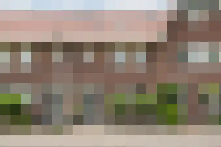 Nova Zembla 46 Noord-Scharwoude thumbnail 6