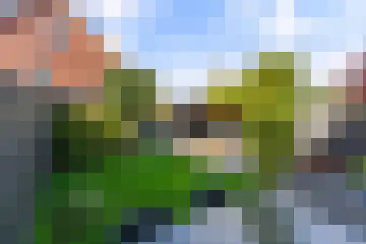 Nova Zembla 48 Noord-Scharwoude thumbnail 39