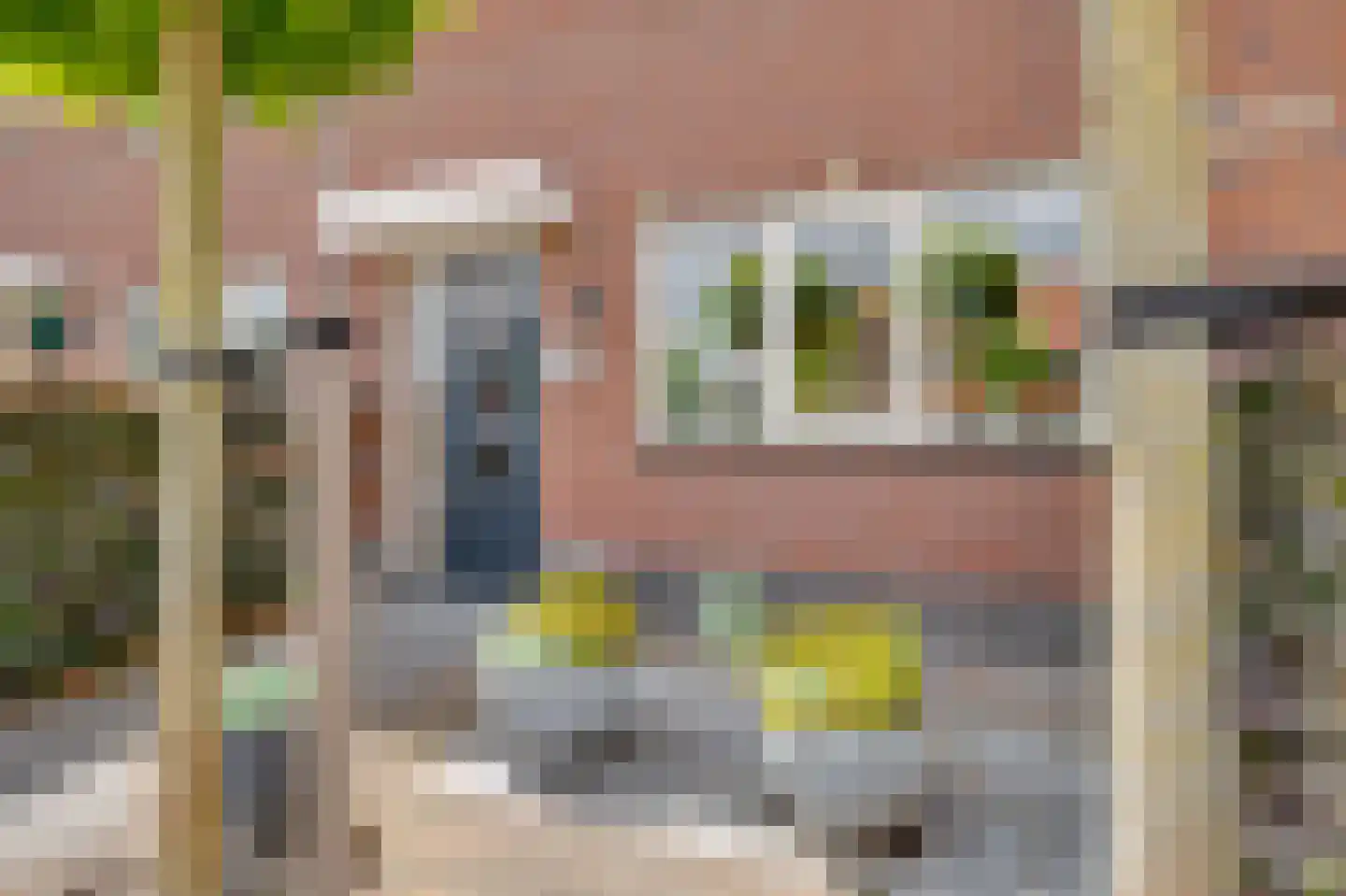 Nova Zembla 8 Noord-Scharwoude thumbnail 4