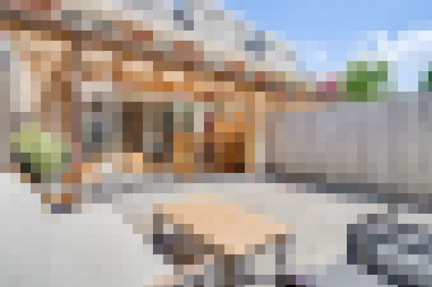 Nova Zembla 8 Noord-Scharwoude thumbnail 44