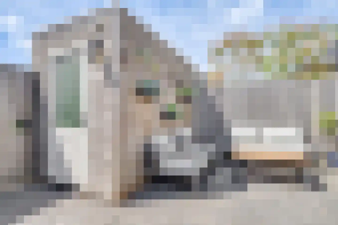 Nova Zembla 8 Noord-Scharwoude thumbnail 48