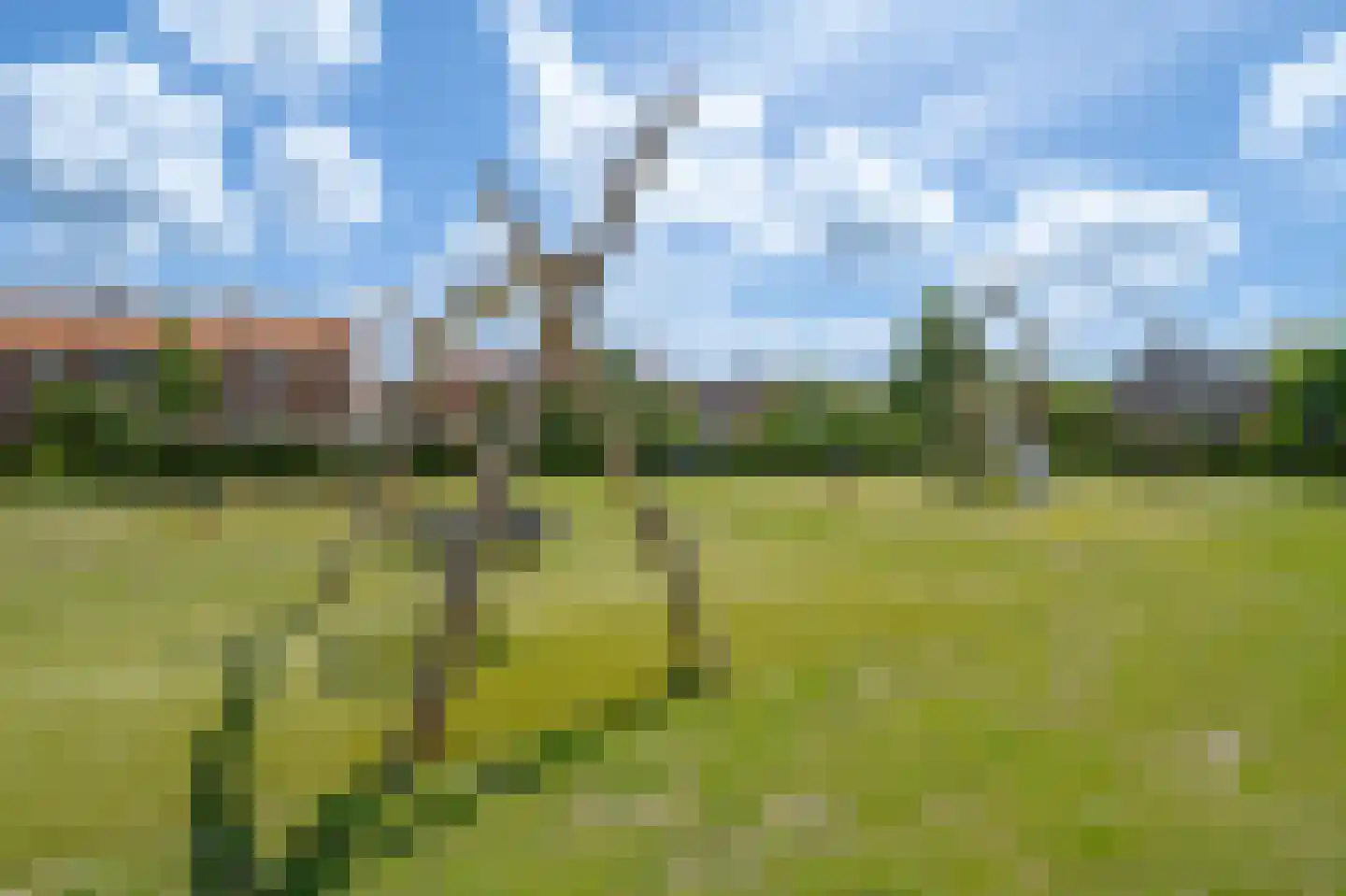 Nova Zembla 8 Noord-Scharwoude thumbnail 52