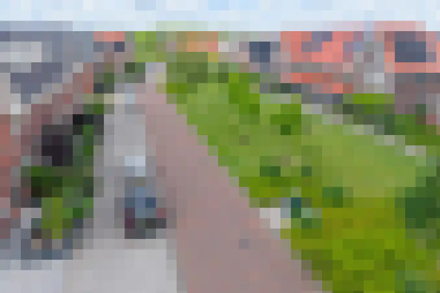 Nova Zembla 8 Noord-Scharwoude thumbnail 61