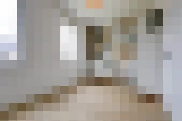 Nova Zemblastraat 10 Breda thumbnail 30