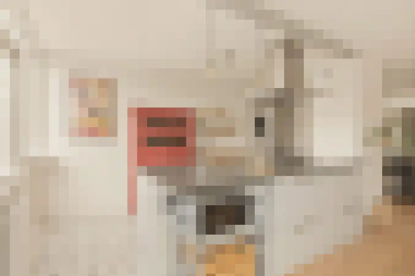 Nova Zemblastraat 213 Amsterdam thumbnail 10