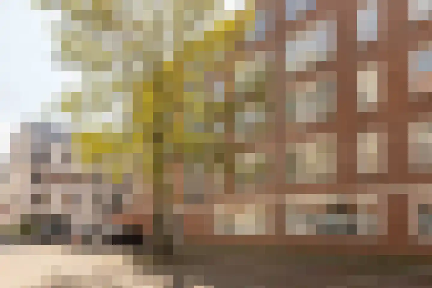 Nova Zemblastraat 213 Amsterdam thumbnail 23