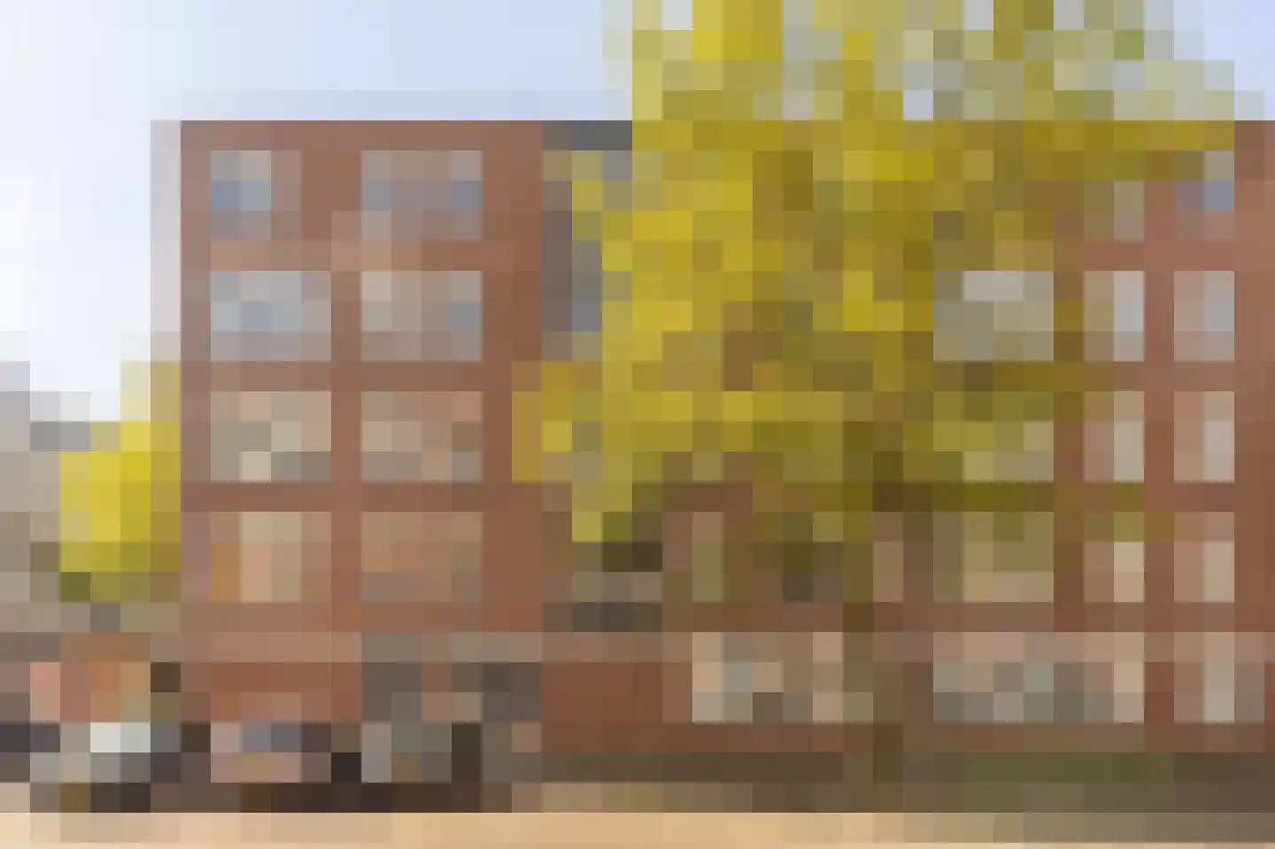 Nova Zemblastraat 213 Amsterdam thumbnail 24