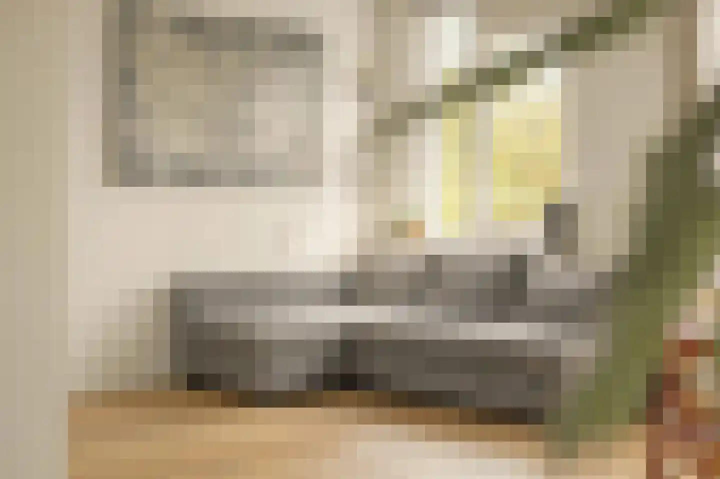 Nova Zemblastraat 213 Amsterdam thumbnail 4