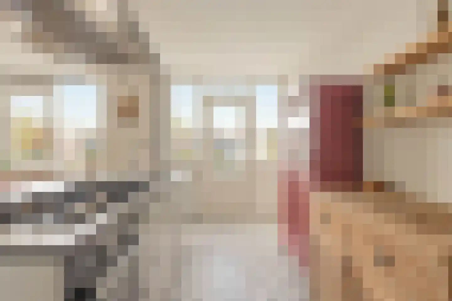 Nova Zemblastraat 213 Amsterdam thumbnail 5