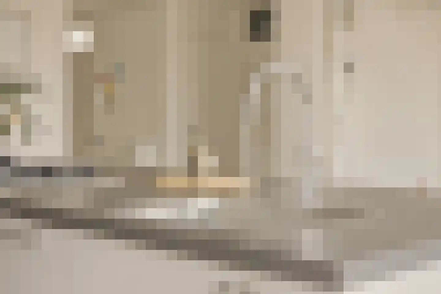 Nova Zemblastraat 213 Amsterdam thumbnail 6