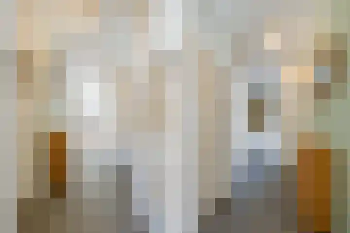 Nova Zemblastraat 239 Amsterdam thumbnail 15