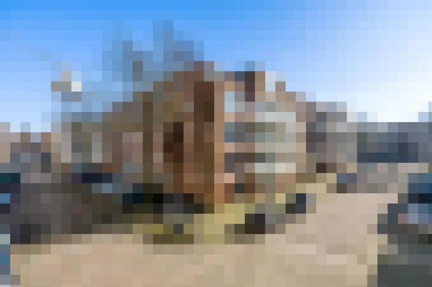 Nova Zemblastraat 239 Amsterdam thumbnail 17