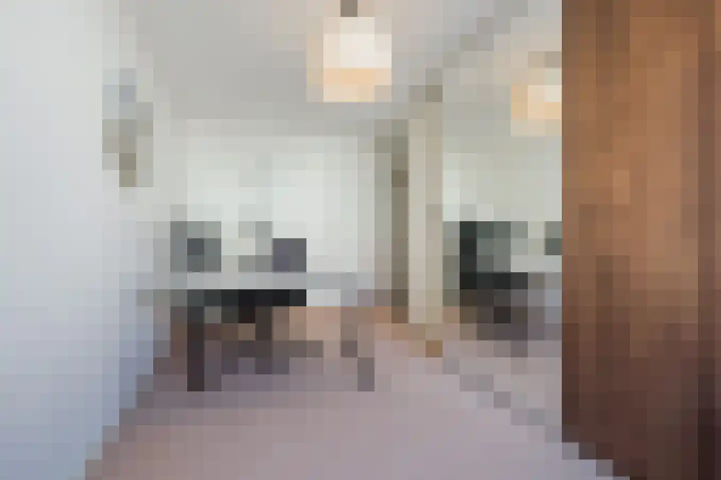 Nova Zemblastraat 239 Amsterdam thumbnail 20