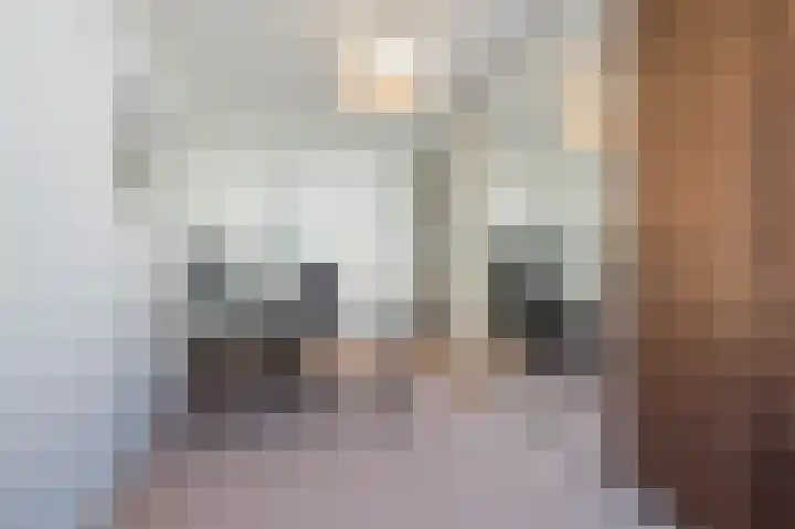 Nova Zemblastraat 239 Amsterdam thumbnail 20