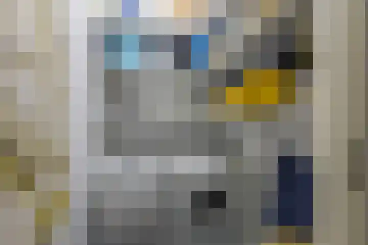 Nova Zemblastraat 241 Amsterdam thumbnail 17