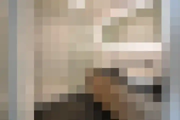 Nova Zemblastraat 355 Amsterdam thumbnail 4