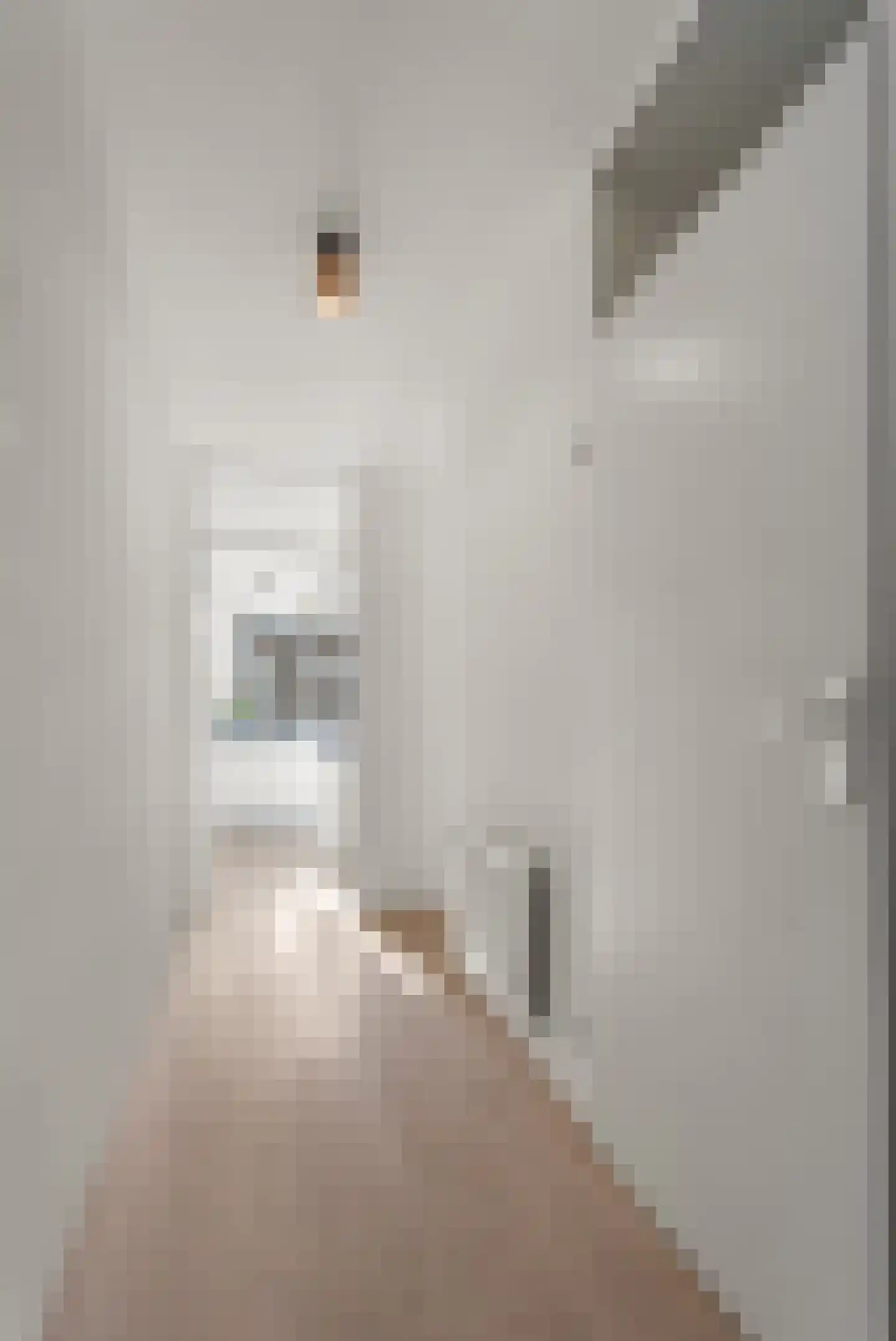 Nova Zemblastraat 381 Amsterdam thumbnail 11