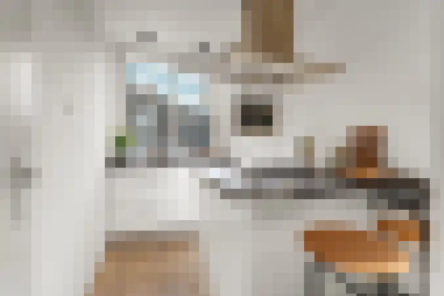 Nova Zemblastraat 381 Amsterdam thumbnail 4