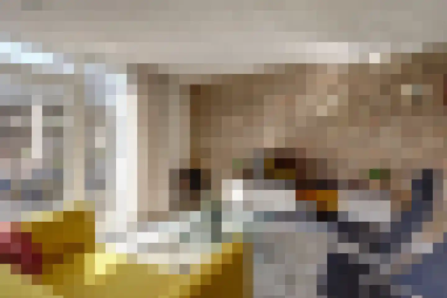 Nova Zemblastraat 4 C Amsterdam thumbnail 17