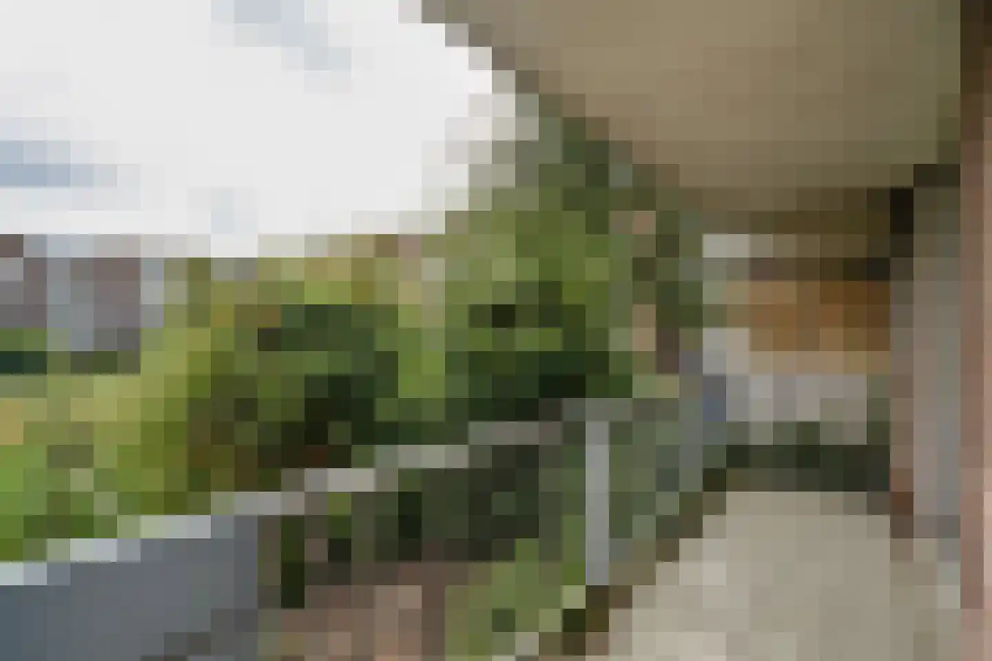 Nova Zemblastraat 405 Amsterdam thumbnail 11