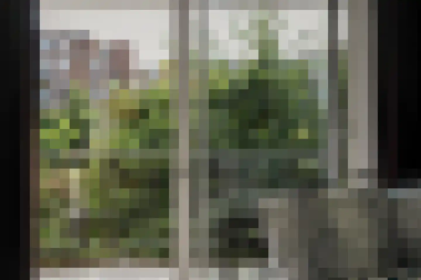 Nova Zemblastraat 405 Amsterdam thumbnail 13