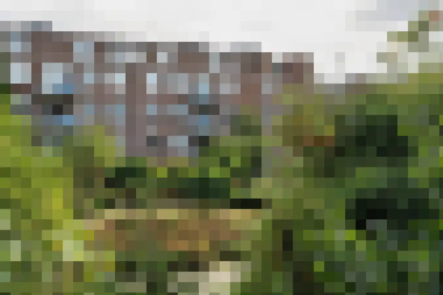 Nova Zemblastraat 405 Amsterdam thumbnail 23