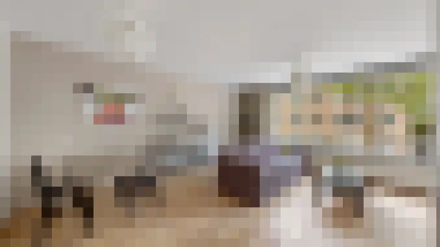 Nova Zemblastraat 405 Amsterdam thumbnail 5