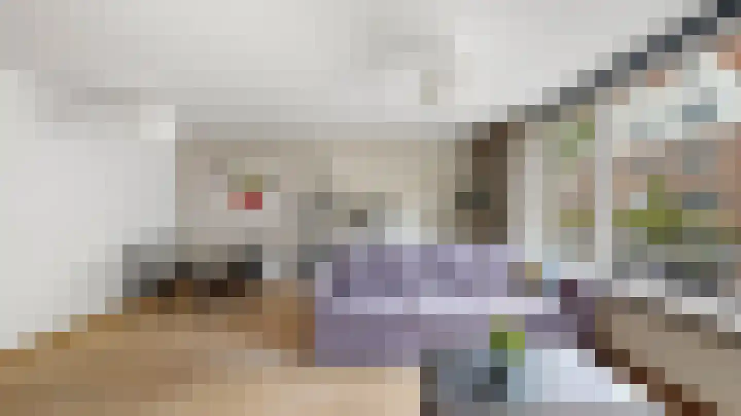 Nova Zemblastraat 405 Amsterdam thumbnail 9
