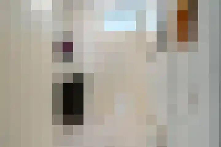 Nova Zemblastraat 407 Amsterdam thumbnail 11