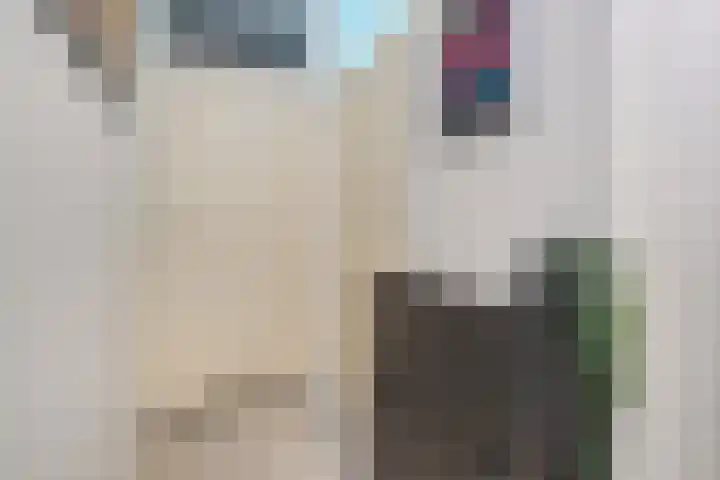 Nova Zemblastraat 407 Amsterdam thumbnail 12
