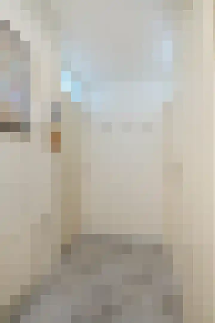 Nova Zemblastraat 407 Amsterdam thumbnail 13
