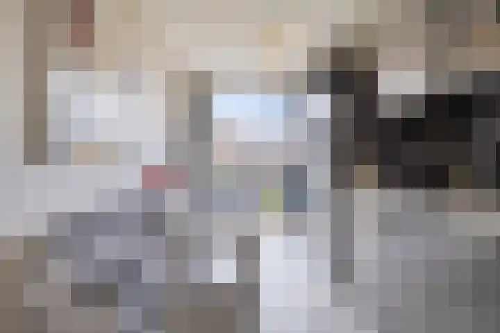 Nova Zemblastraat 407 Amsterdam thumbnail 21
