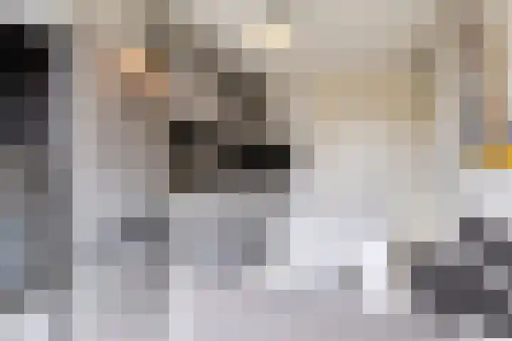 Nova Zemblastraat 407 Amsterdam thumbnail 22