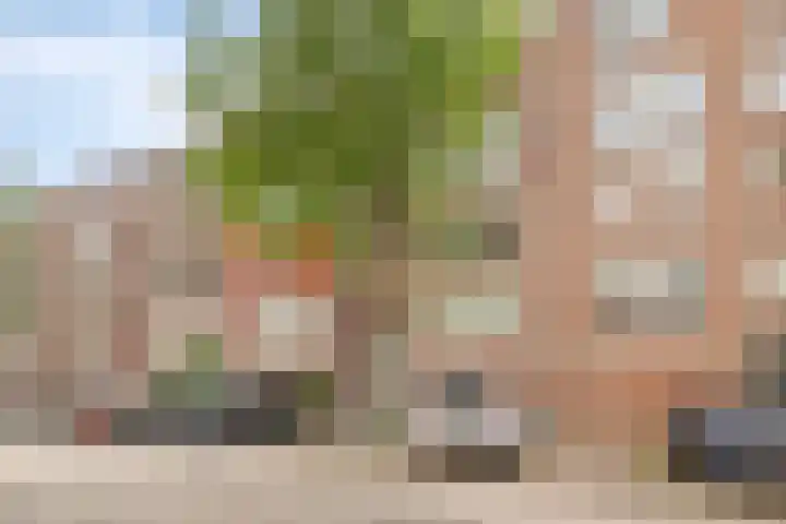 Nova Zemblastraat 407 Amsterdam thumbnail 7