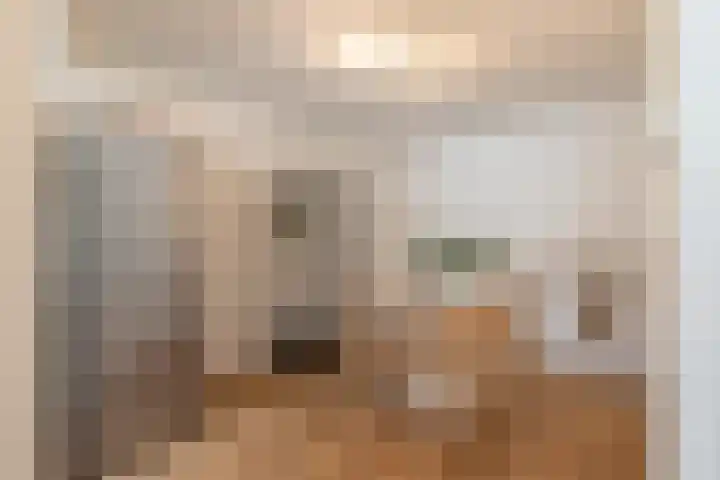 Nova Zemblastraat 415 Amsterdam thumbnail 14