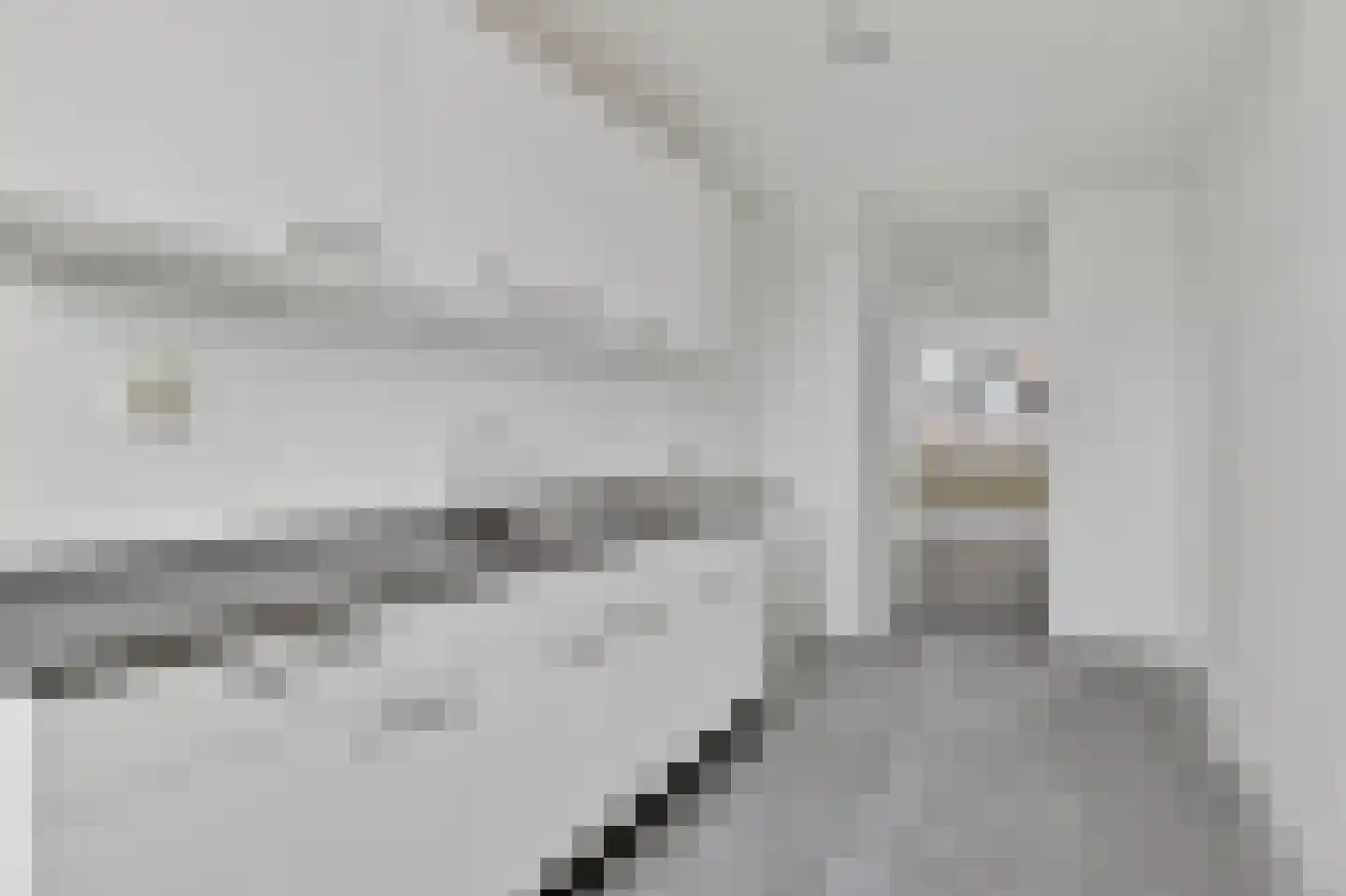 Nova Zemblastraat 425 Amsterdam thumbnail 11