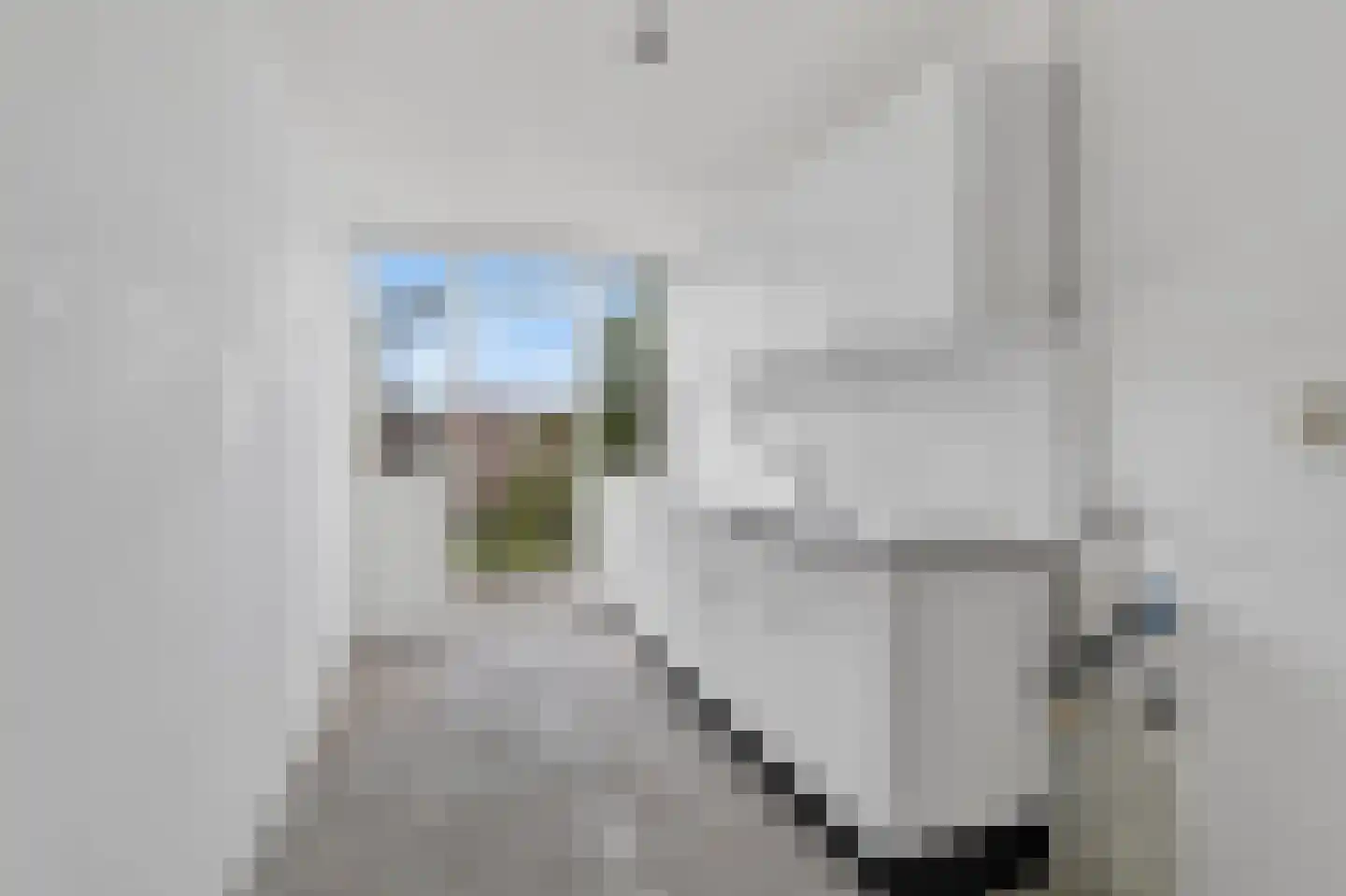 Nova Zemblastraat 425 Amsterdam thumbnail 9