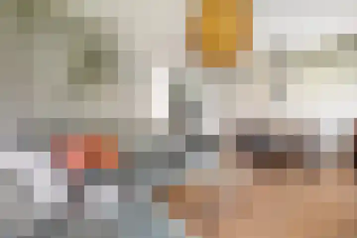 Nova Zemblastraat 433 Amsterdam thumbnail 4