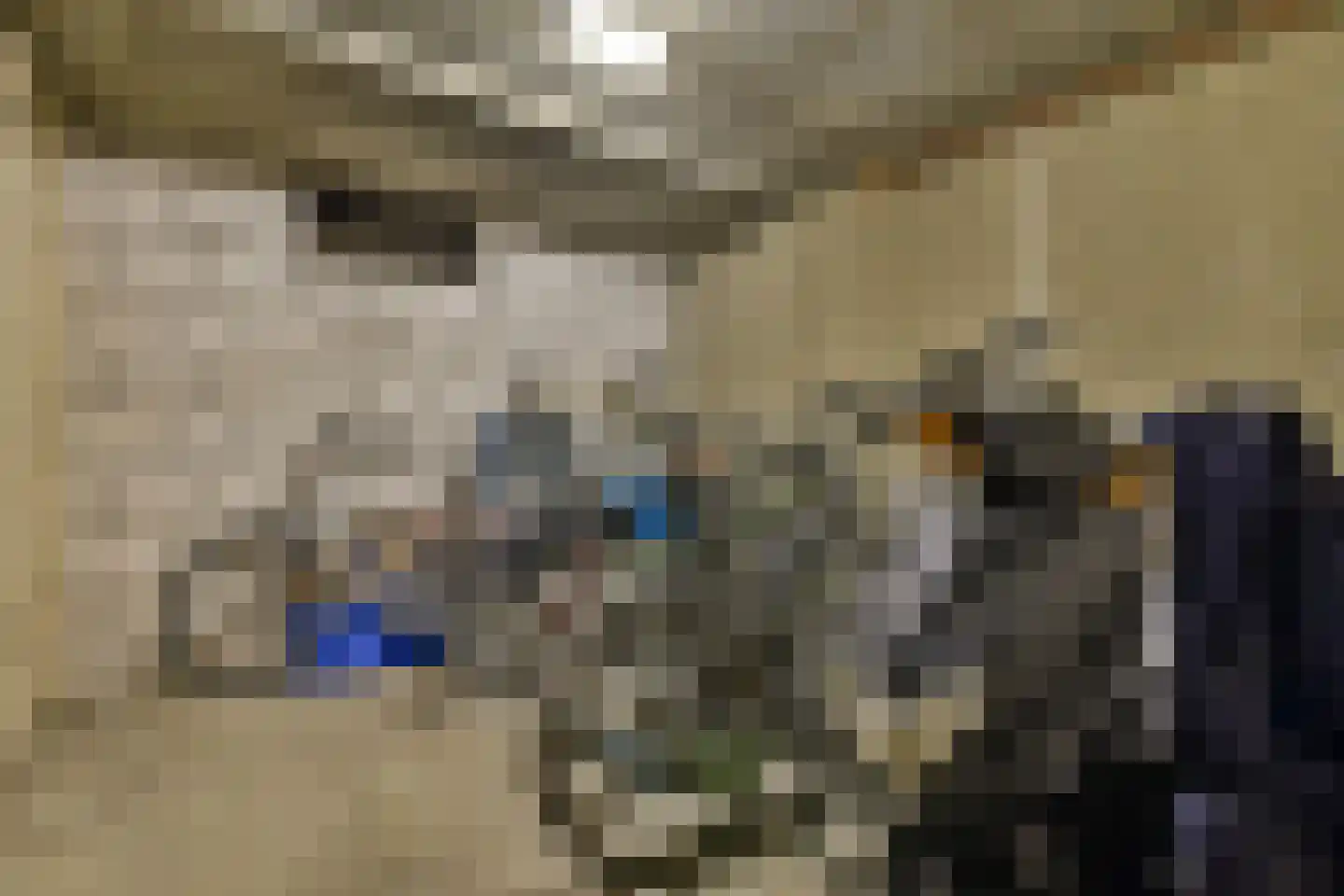 Nova Zemblastraat 437 Amsterdam thumbnail 14