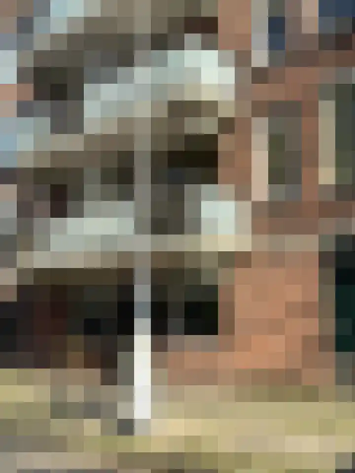 Nova Zemblastraat 437 Amsterdam thumbnail 27